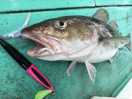 広進丸 釣果