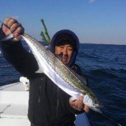 東京湾探釣隊ぼっち 釣果