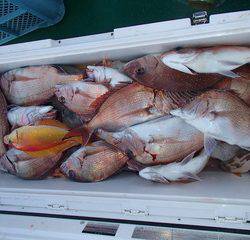 第二むつ漁丸 釣果