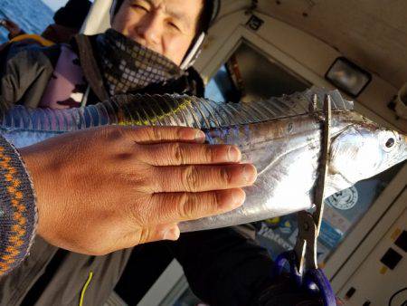 遊漁船　ニライカナイ 釣果