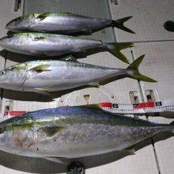 スカイマリン 釣果