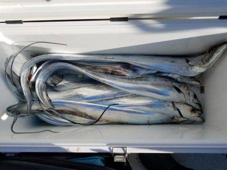 遊漁船 ニライカナイ 釣果