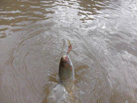 OLAHO　FISHING SPOT 釣果…