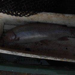 OLAHO　FISHING SPOT 釣果