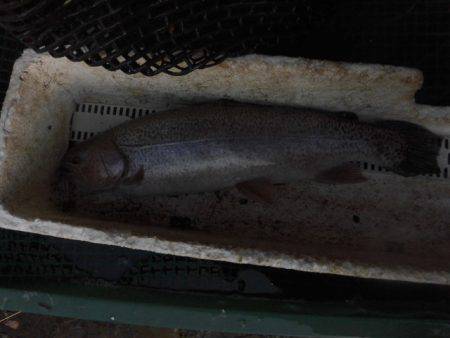 OLAHO　FISHING SPOT 釣果