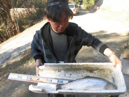 OLAHO　FISHING SPOT 釣果