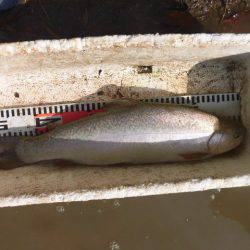 OLAHO FISHING SPOT 釣果