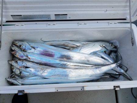 遊漁船　ニライカナイ 釣果