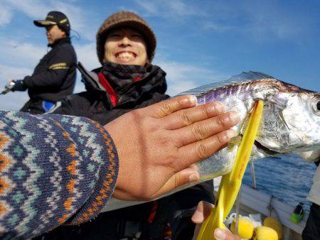 遊漁船 ニライカナイ 釣果