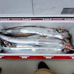 遊漁船 ニライカナイ 釣果