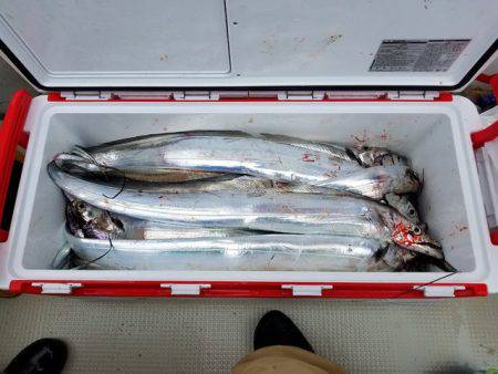 遊漁船 ニライカナイ 釣果