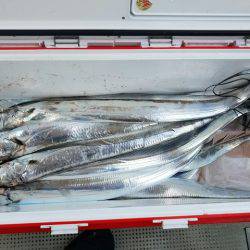 遊漁船　ニライカナイ 釣果