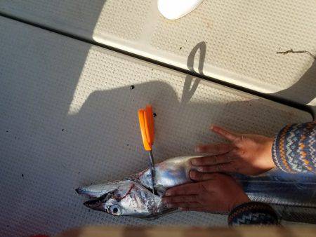 遊漁船 ニライカナイ 釣果