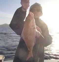 第二むつ漁丸 釣果