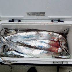 遊漁船 ニライカナイ 釣果