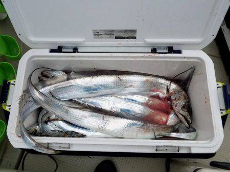 遊漁船 ニライカナイ 釣果