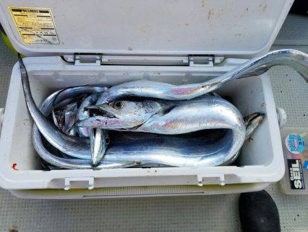 遊漁船　ニライカナイ 釣果