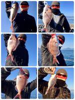 YELLOW-TAIL　イエローテール 釣果