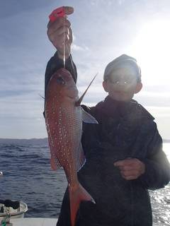 第二むつ漁丸 釣果