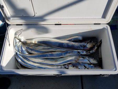 遊漁船 ニライカナイ 釣果