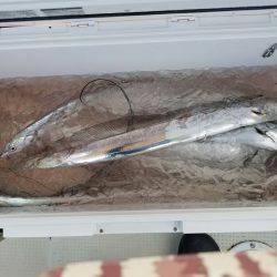 遊漁船　ニライカナイ 釣果