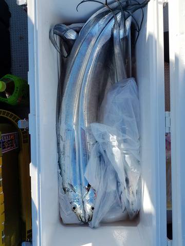 遊漁船　ニライカナイ 釣果