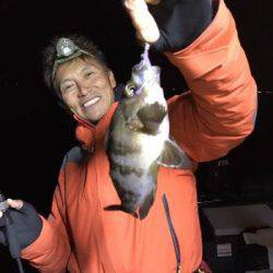 シーマジカル 釣果