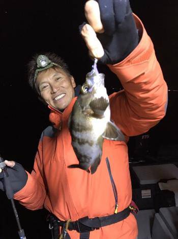 シーマジカル 釣果