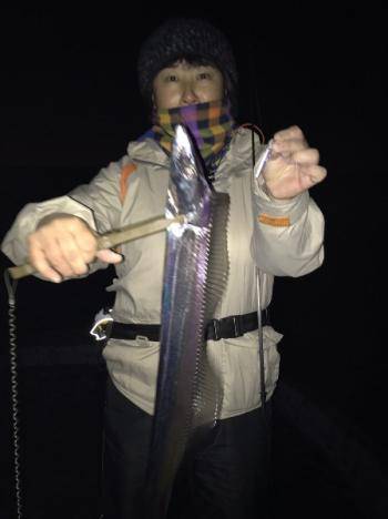 シーマジカル 釣果