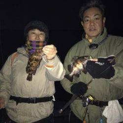 シーマジカル 釣果