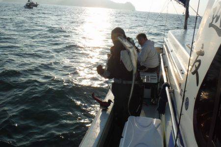 遊漁船 遊友 釣果