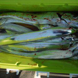 遊漁船 遊友 釣果