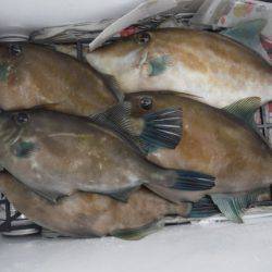 遊漁船 遊友 釣果