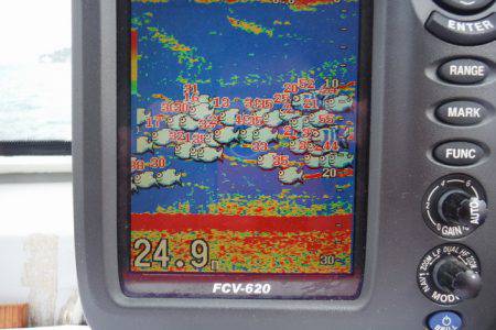 遊漁船 遊友 釣果