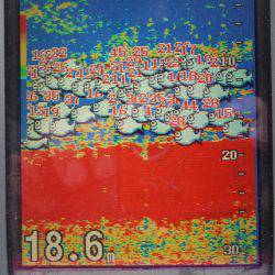 遊漁船 遊友 釣果