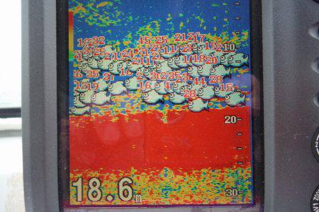 遊漁船 遊友 釣果