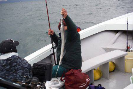 遊漁船 遊友 釣果