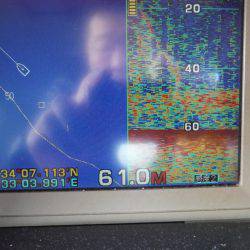 遊漁船 遊友 釣果