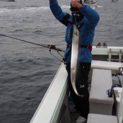 遊漁船 遊友 釣果