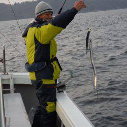 遊漁船 遊友 釣果