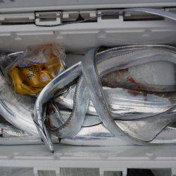 遊漁船 遊友 釣果