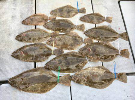 さんさん丸 釣果