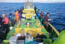 濱生丸 釣果