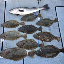 さんさん丸 釣果