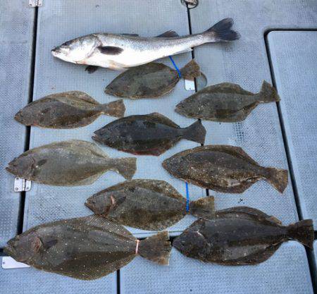 さんさん丸 釣果