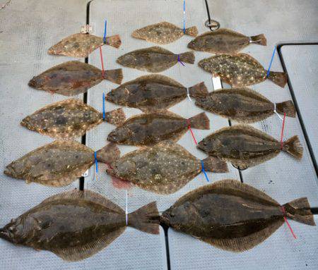 さんさん丸 釣果