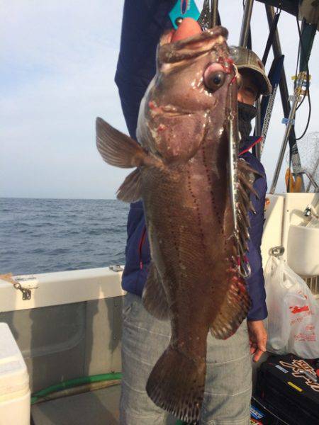 Blue.win 海人丸 釣果