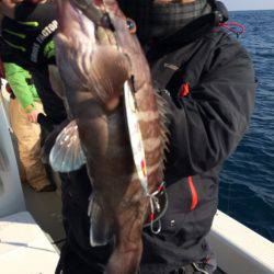 Blue.win 海人丸 釣果