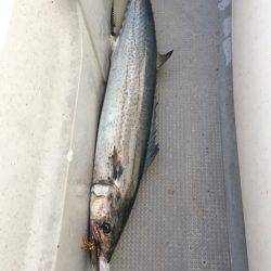 Blue.win 海人丸 釣果