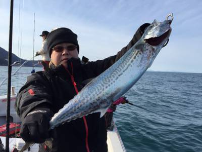 シーモンキー 釣果